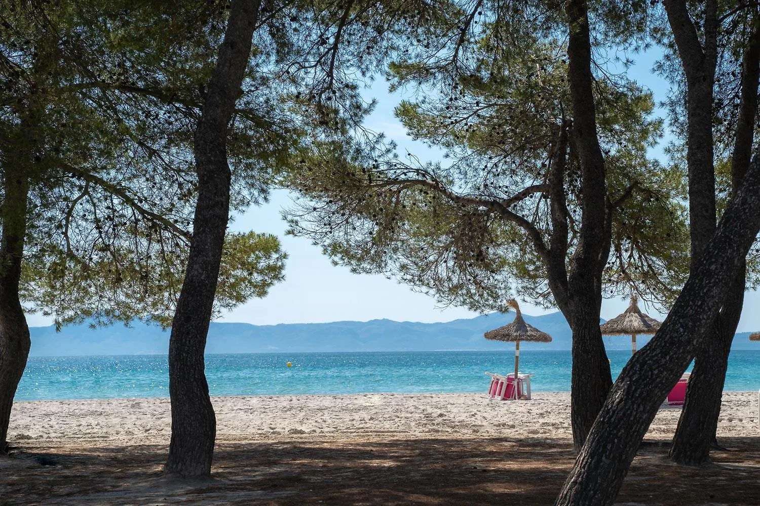 Aparthotel Apartmán Ferrer Lime Playa De Alcudia Španělsko